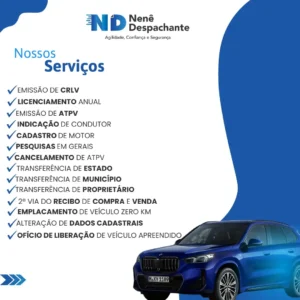 despachante_zona_norte_nene_despachante_0101