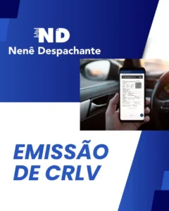 despachante_zona_norte_nene_despachante_0102