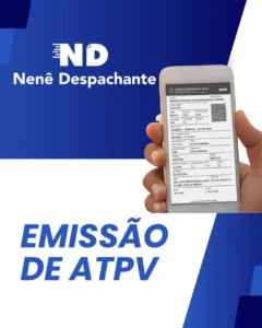 despachante_zona_norte_nene_despachante_0103