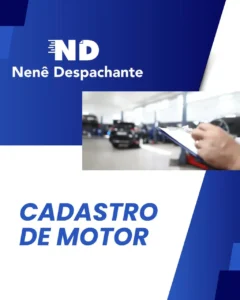 despachante_zona_norte_nene_despachante_0104