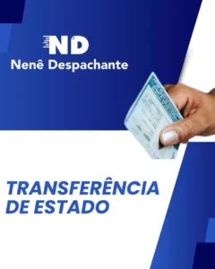 despachante_zona_norte_nene_despachante_0105