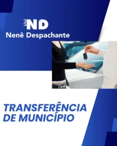 despachante_zona_norte_nene_despachante_0106