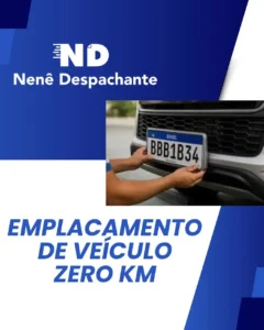 despachante_zona_norte_nene_despachante_0109