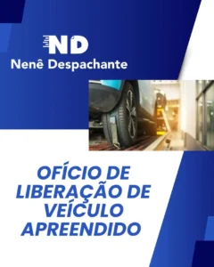 despachante_zona_norte_nene_despachante_0111