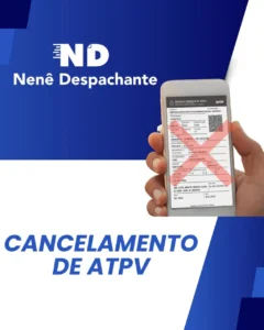 despachante_zona_norte_nene_despachante_0113